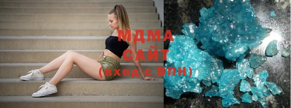 индика Няндома