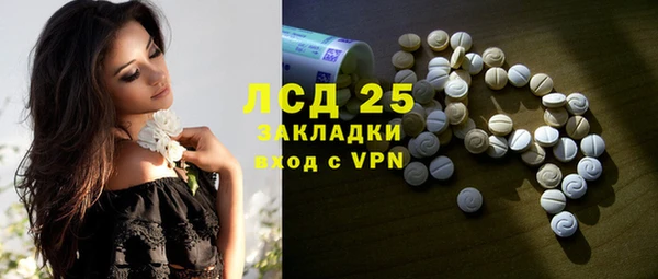 индика Няндома