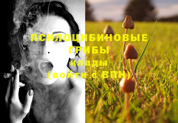 индика Няндома