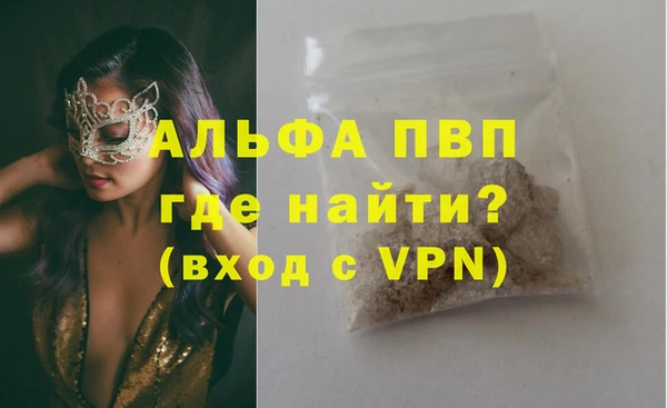 индика Няндома
