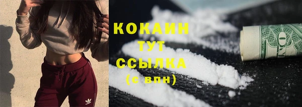 дживик Осинники