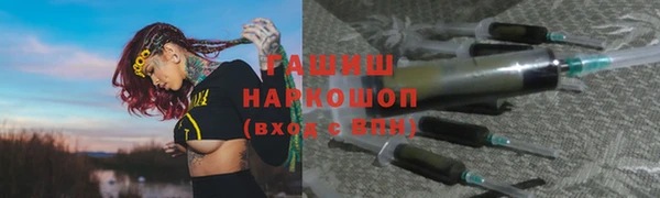 индика Няндома
