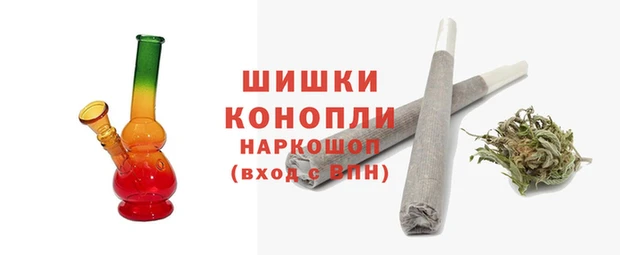 индика Няндома
