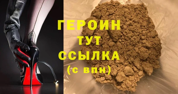 индика Няндома