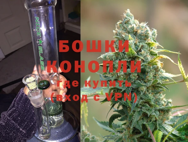 индика Няндома