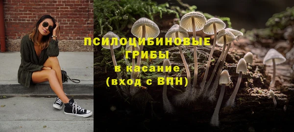 каннабис Осташков