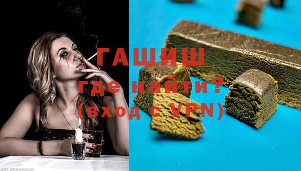 индика Няндома