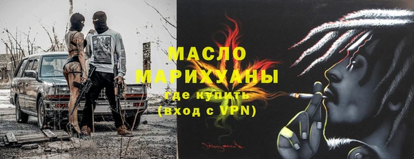 индика Няндома