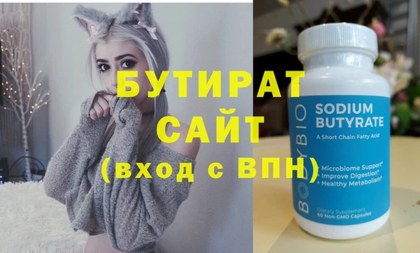 индика Няндома