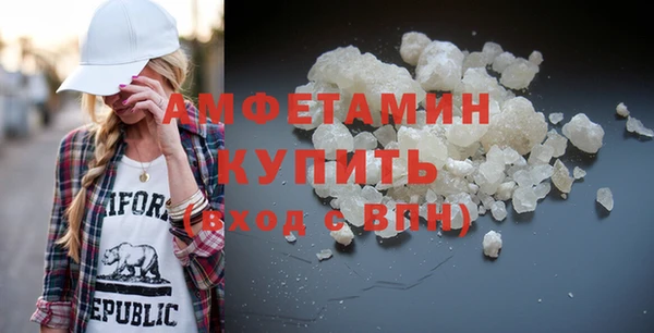 индика Няндома