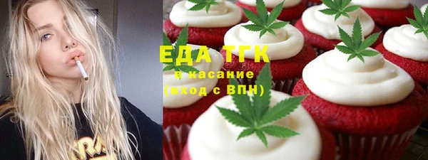 индика Няндома